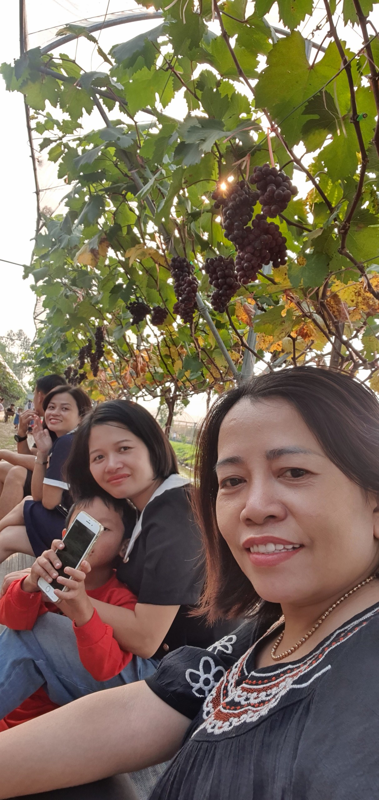 Những ngày qua, Vườn nho Hạ đen tại xã Ninh Giang (Hoa Lư) trở thành điểm check in hấp dẫn thu hút du khách gần xa.